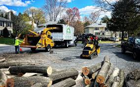 Best Grass Overseeding  in Holiday City South, NJ