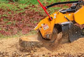 Best Utility Line Clearance  in Holiday City South, NJ